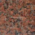 Multicolor Granite Slabs Red Tiles